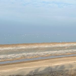 Meet your Posher, Chelsea